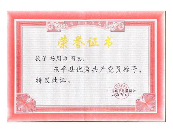 榮譽(yù)證書(shū)