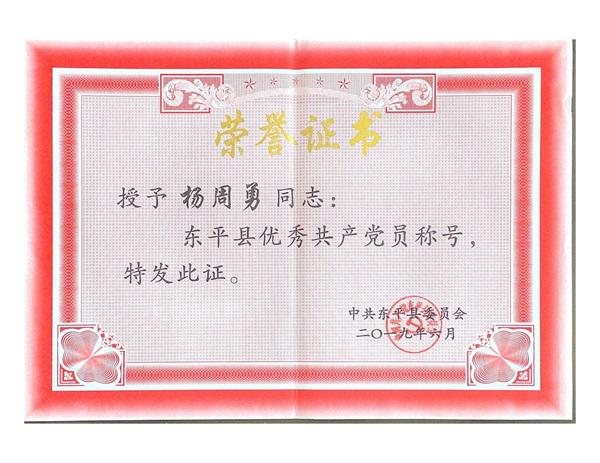榮譽(yù)證書(shū)